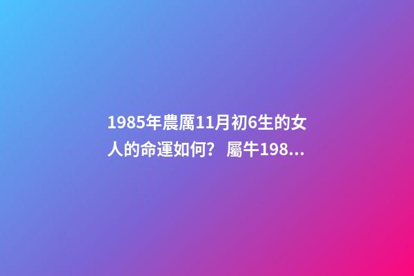 1985年農厲11月初6生的女人的命運如何？ 屬牛1985年11月16號出生命運-第1張-觀點-玄機派